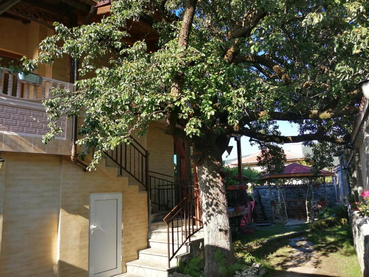 Dariya Guest House Sapareva Banya Esterno foto