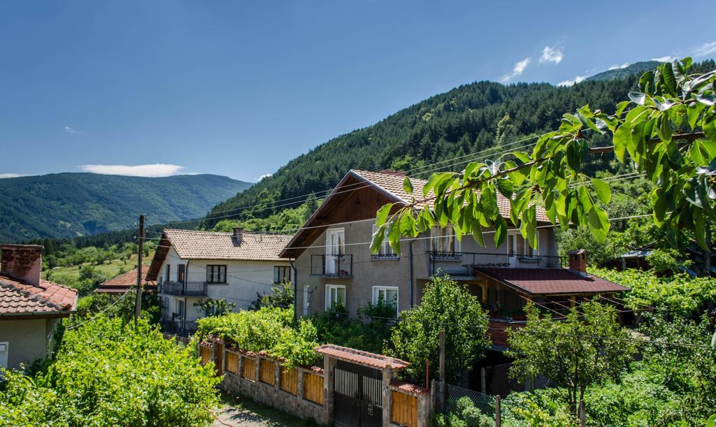 Dariya Guest House Sapareva Banya Esterno foto